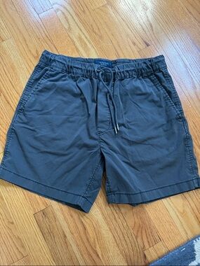 American Eagle Drawstring Shorts